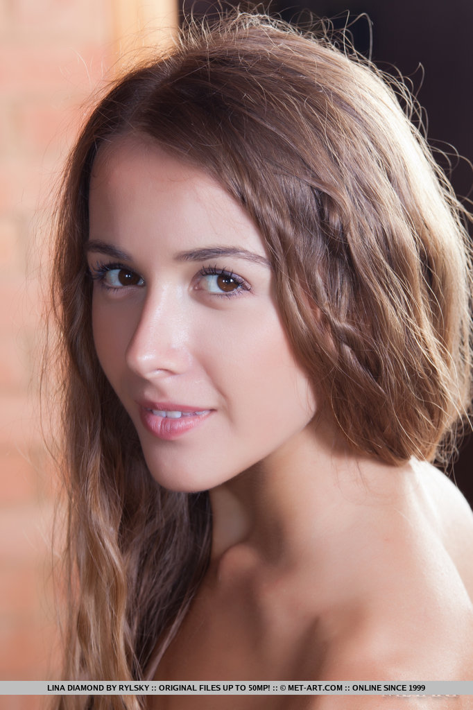 Metart Lina Diamond in Protegant fullsize image 18
