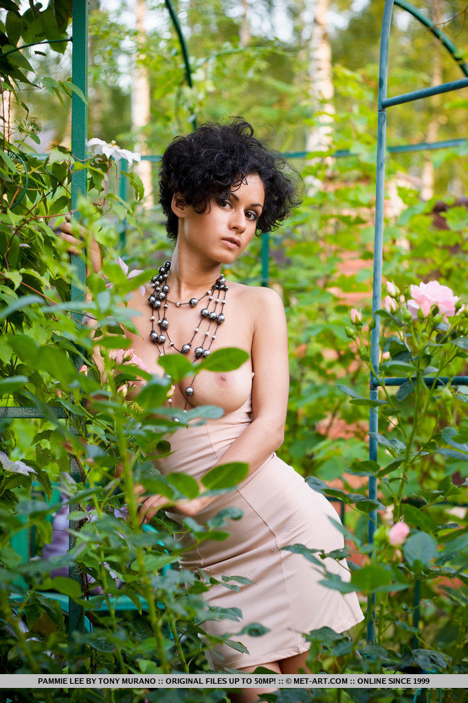 Metart Pammie Lee in Annysia fullsize image 01