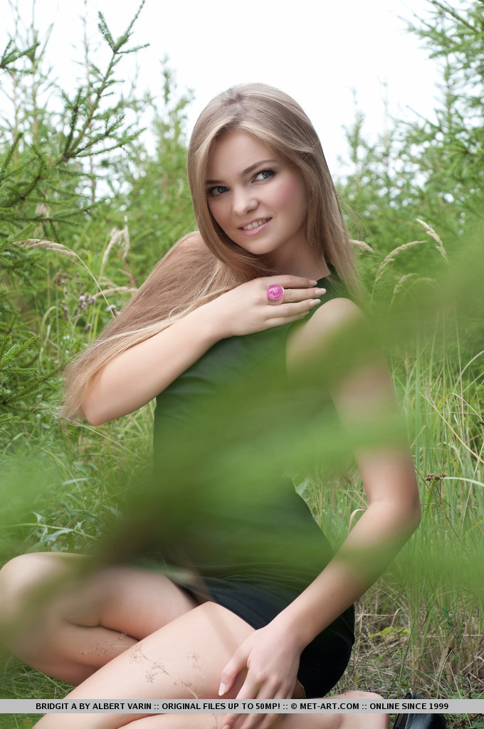 Metart Bridgit A in Insouciant fullsize image 04