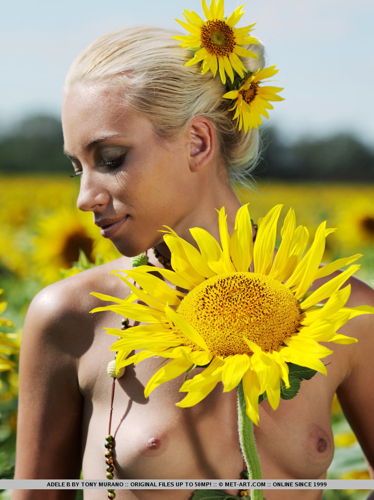 Metart Adele B in Tournesol fullsize image 18