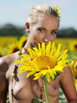 Adele B Metart Tournesol thumbnail 02