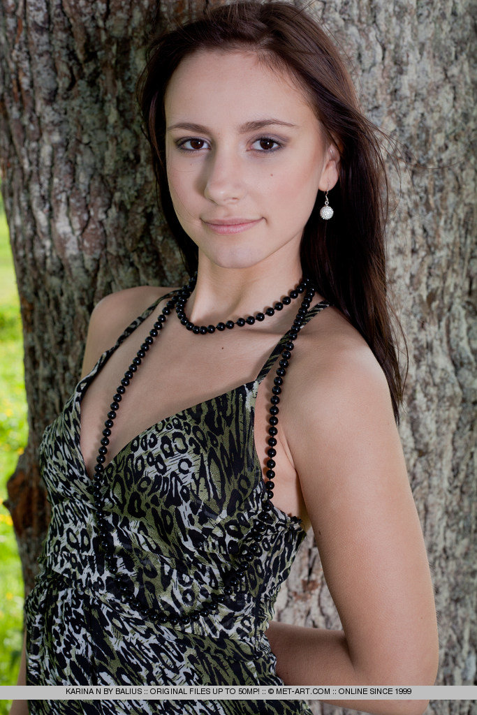 Metart Karina N in Columpio fullsize image 01