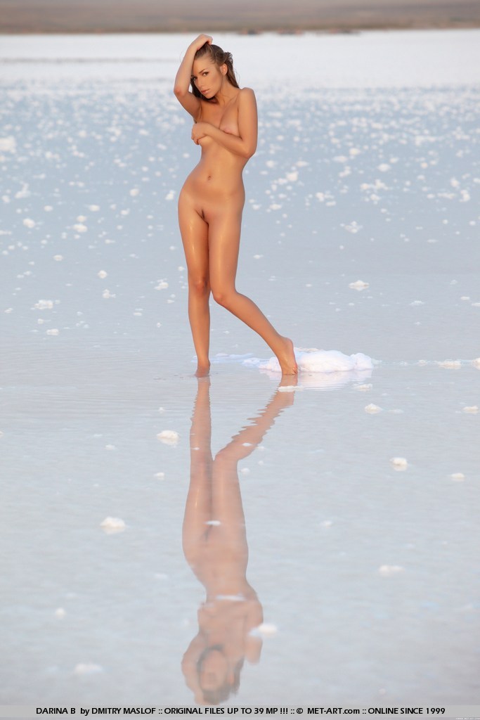 Metart Darina B in Fiocco fullsize image 01