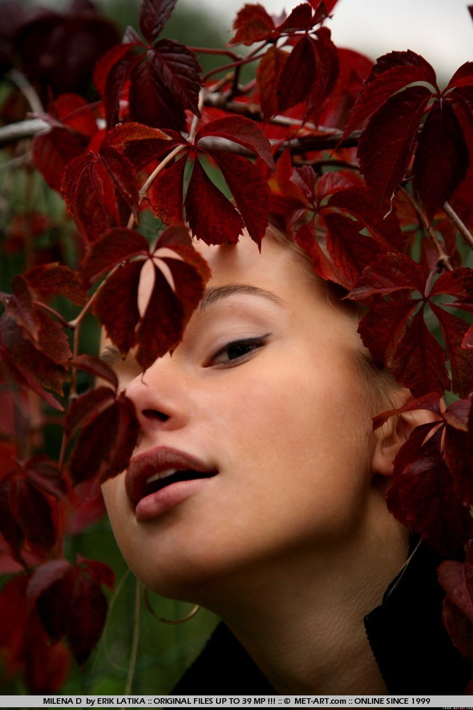 Metart Milena D in Goodnight fullsize image 01