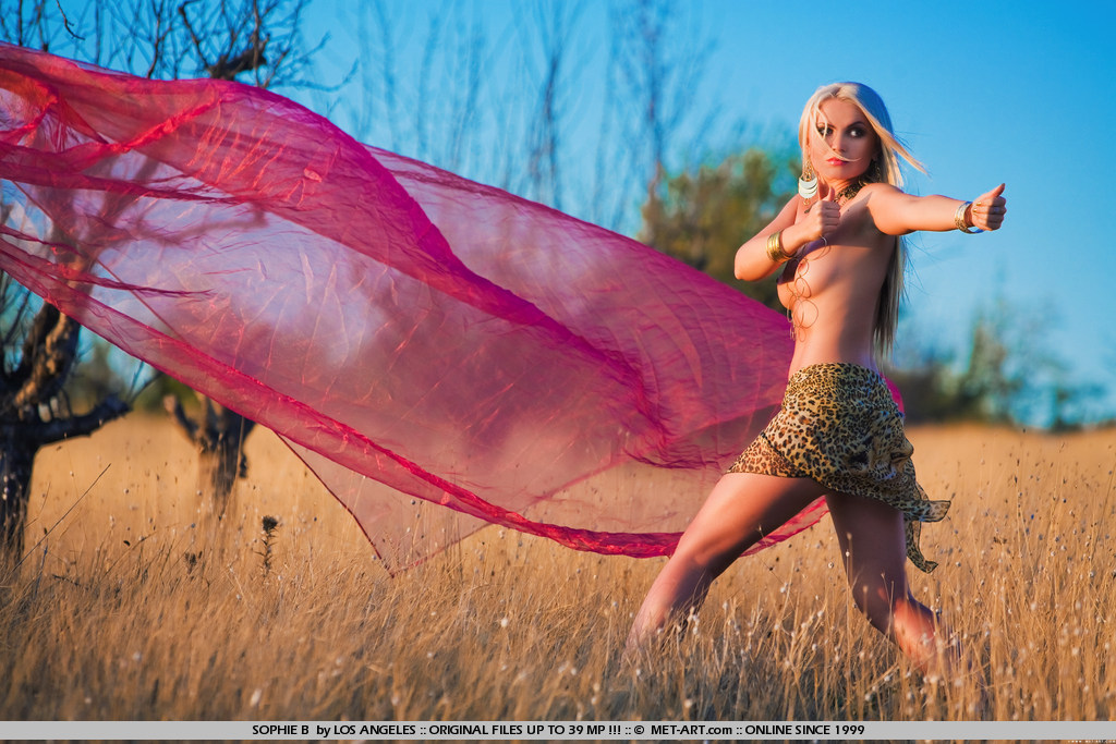 Metart Sophie B in Safari fullsize image 14