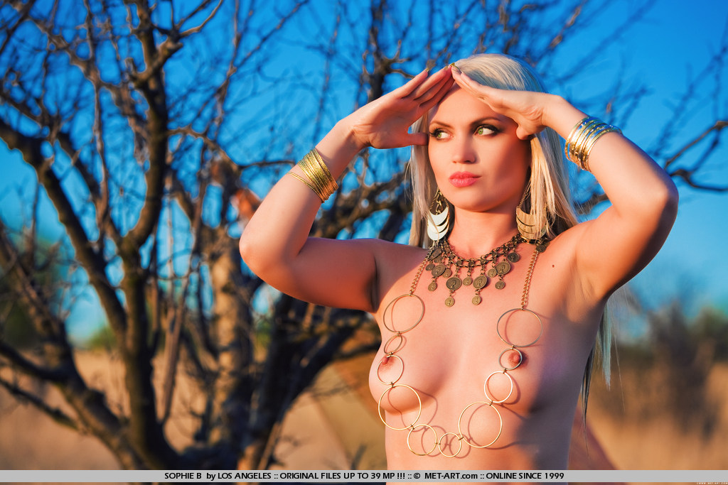 Metart Sophie B in Safari fullsize image 15