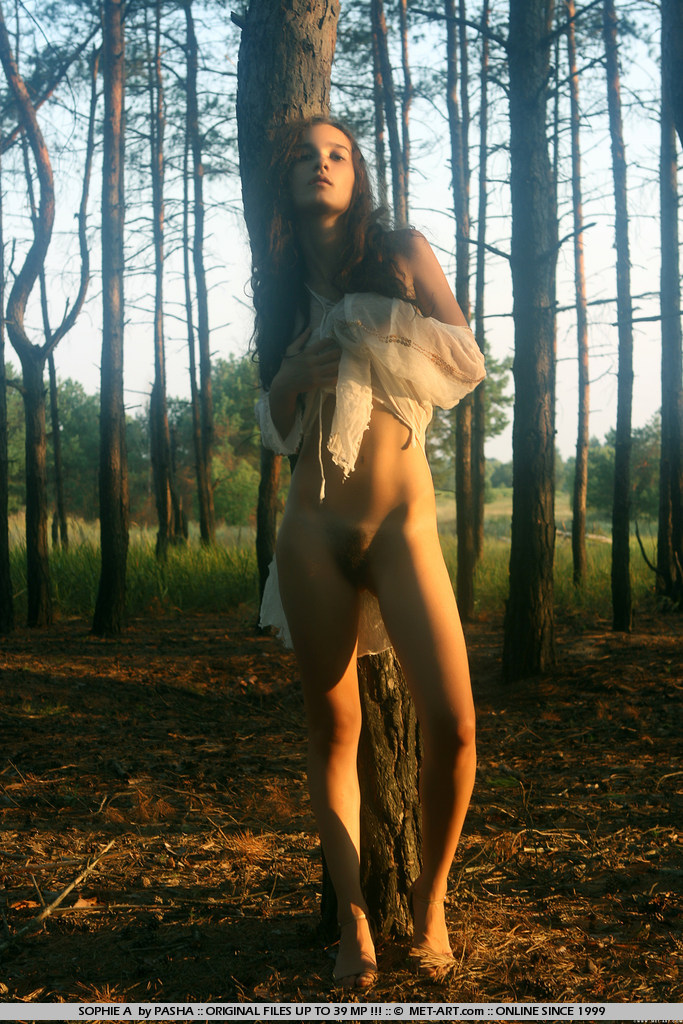 Metart Sophie A in Vivendi fullsize image 06