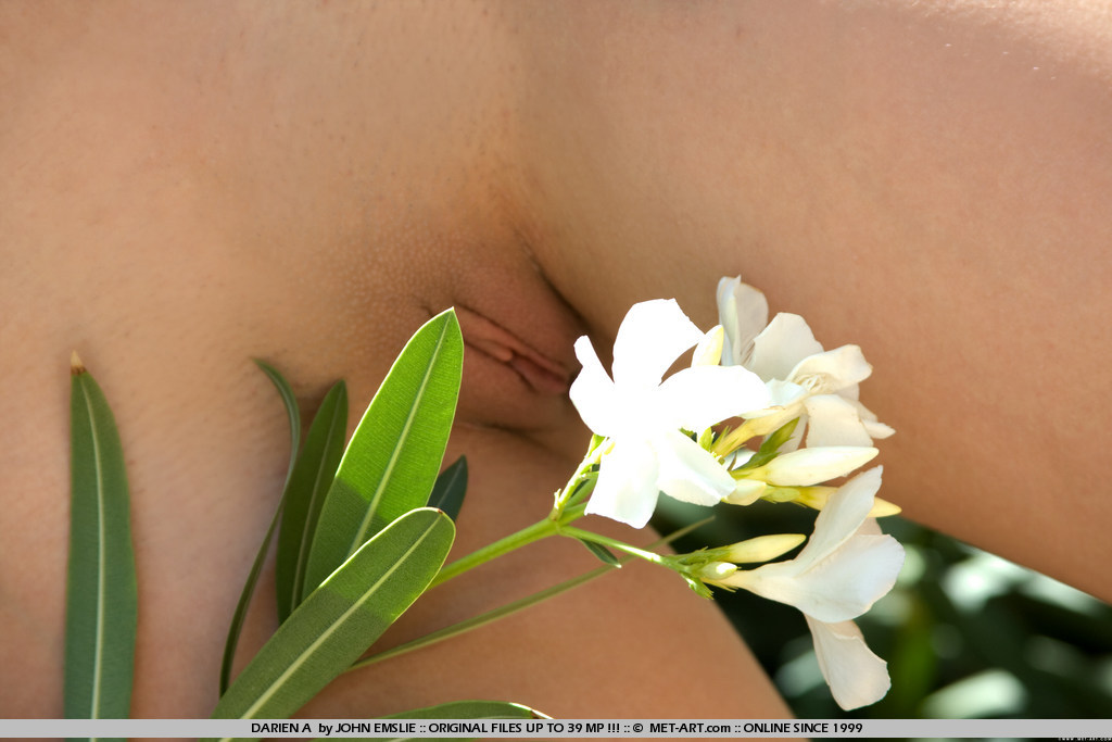 Metart Darien A in Valley fullsize image 10