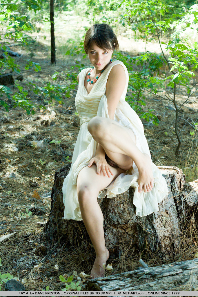 Metart Fay A in Presenting Fay fullsize image 18