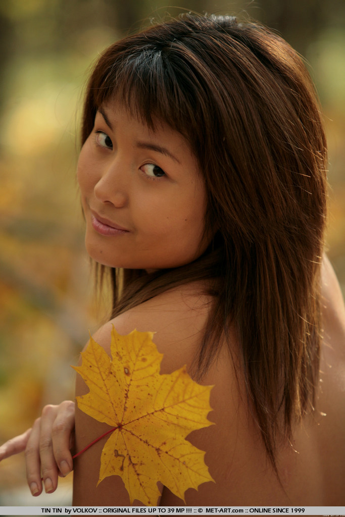 Metart Tin Tin in Presenting Tin Tin fullsize image 08