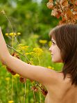 Amelie Femjoy The Most Beautiful Flower thumbnail 03