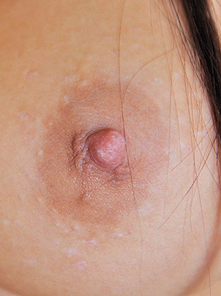 Jayden Ftvgirls Ftv Girls 352 thumbnail 10