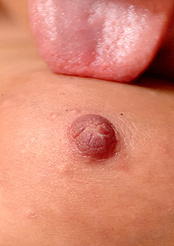 Alison Angel Ftvgirls Alison Angel 660 thumbnail 12