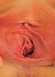 Danielle Ftvgirls Danielle Ftv 873 thumbnail 09