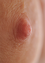 Danielle Ftvgirls Danielle Ftv 913 thumbnail 05